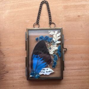 Butterfly Wing in Frame
